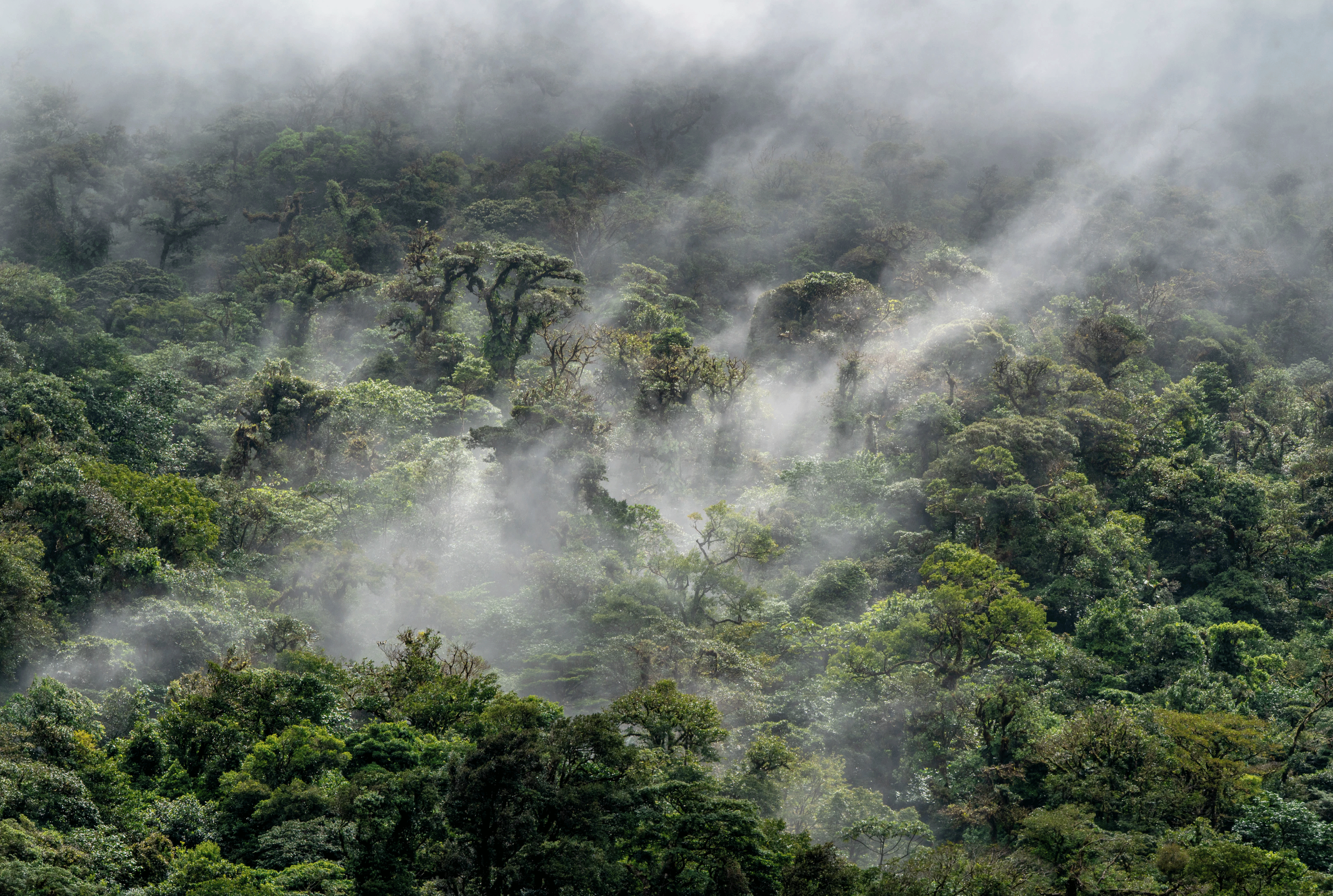 Clouds going through mountain