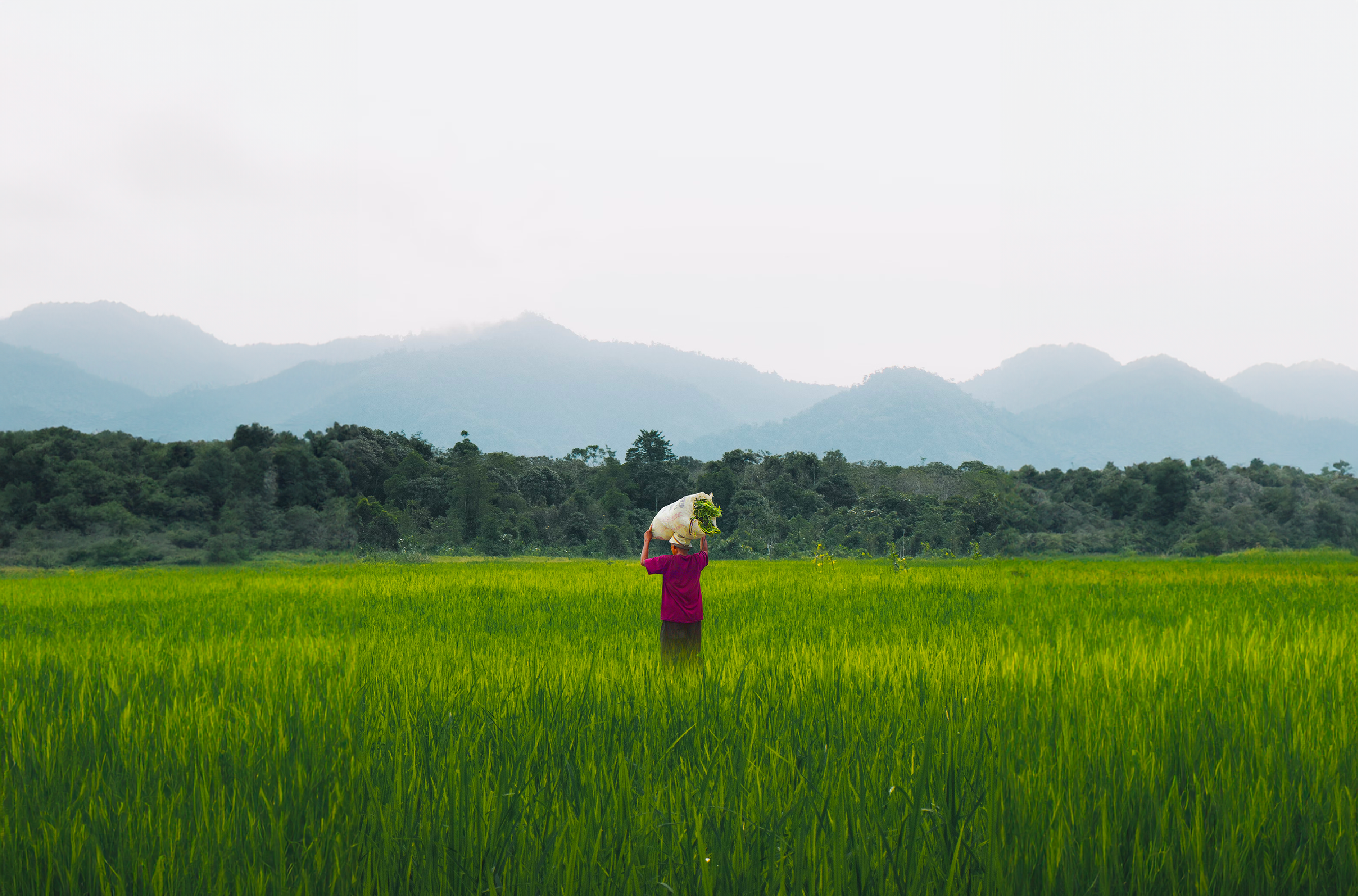 Woman in a field