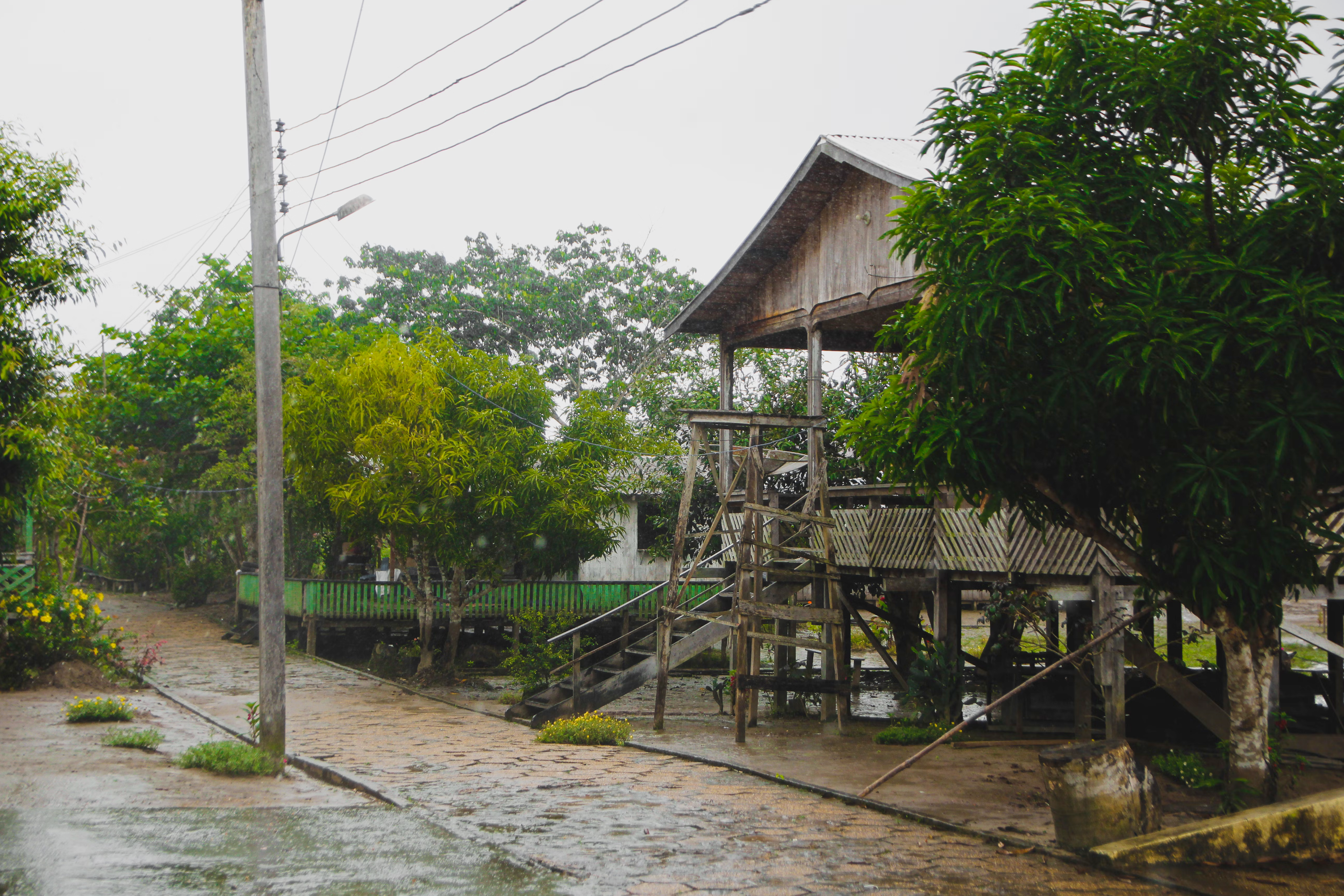 House next to river