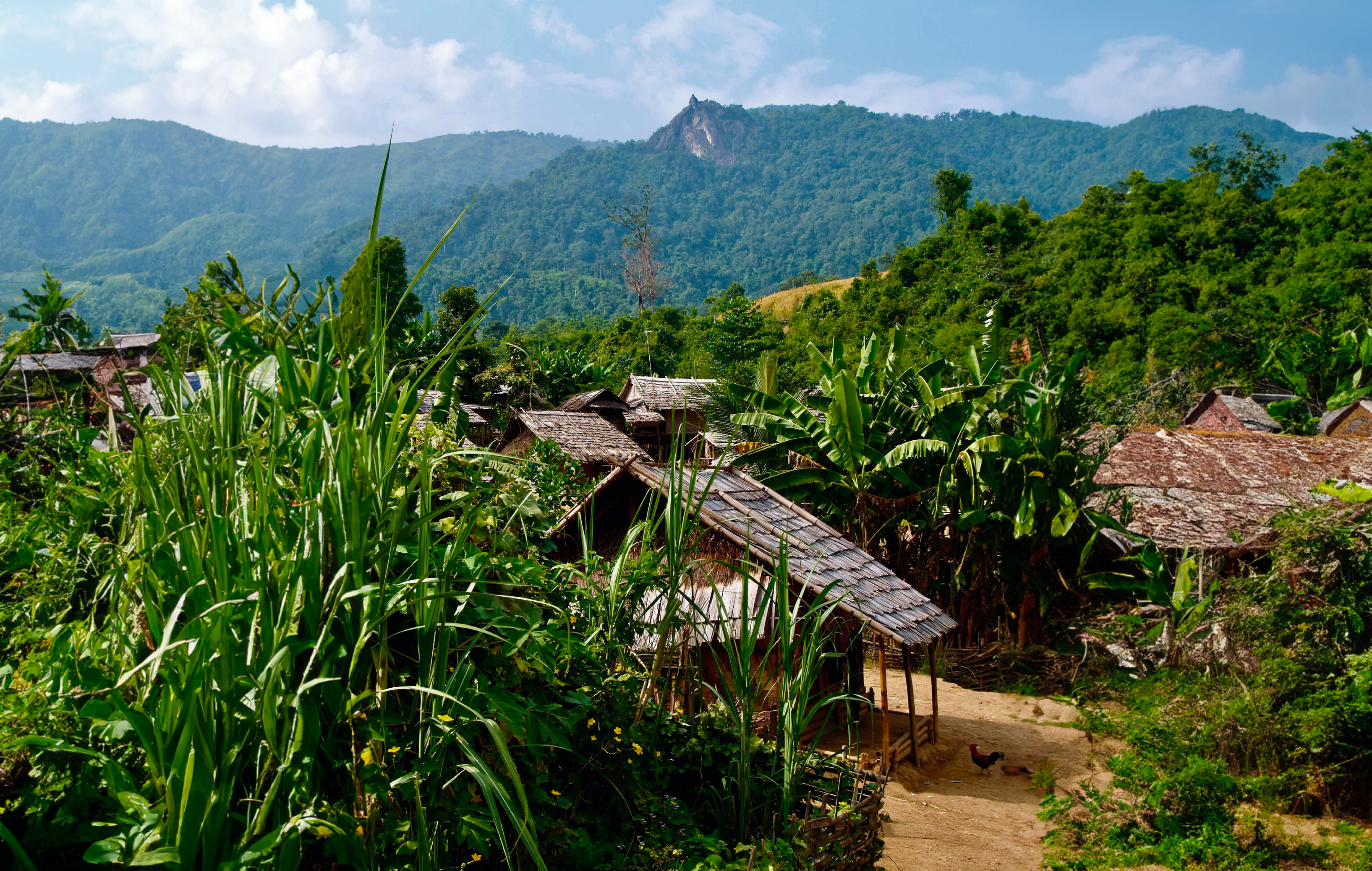 Houses in mountain