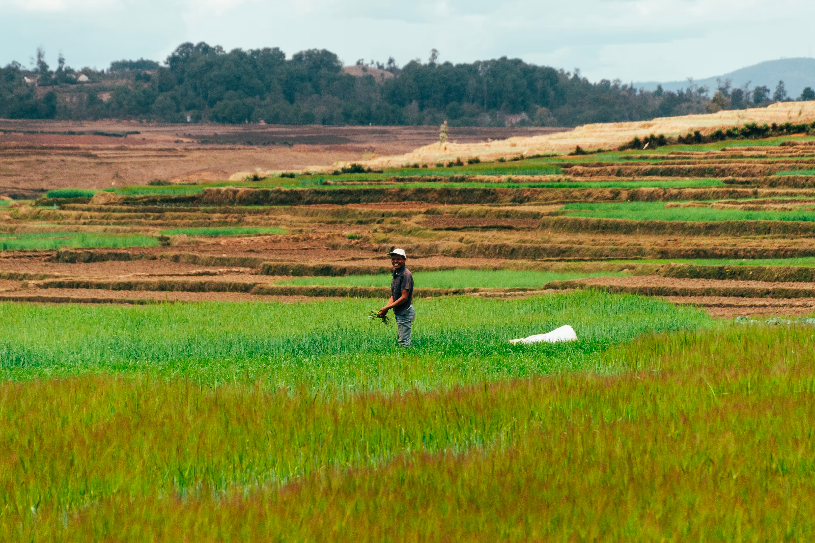 Man standing in field